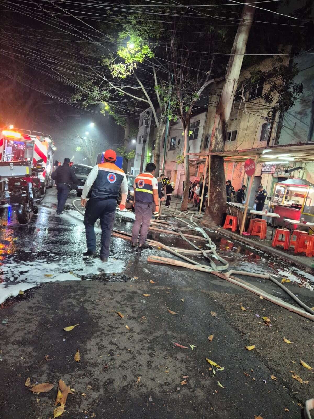 Rescue of Pets in Mexico City Fire