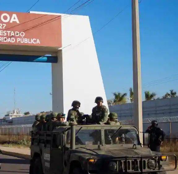 Successful anti-drug operation in Mexico