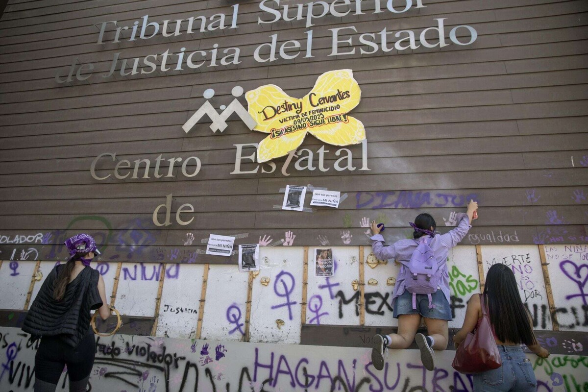 墨西哥女性被杀案的错误分类