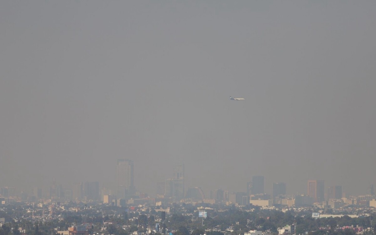 墨西哥城因臭氧启动环境应急第一阶段