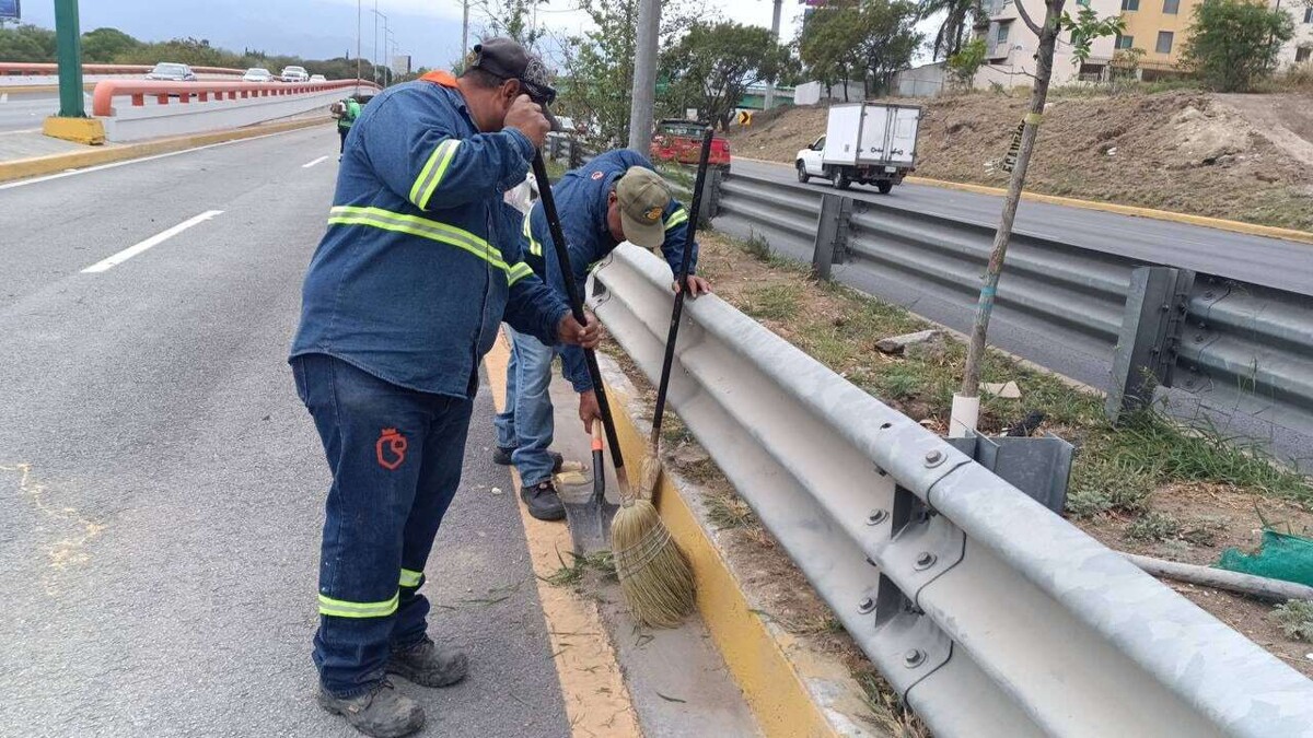 Nuevo León Prepares for World Cup
