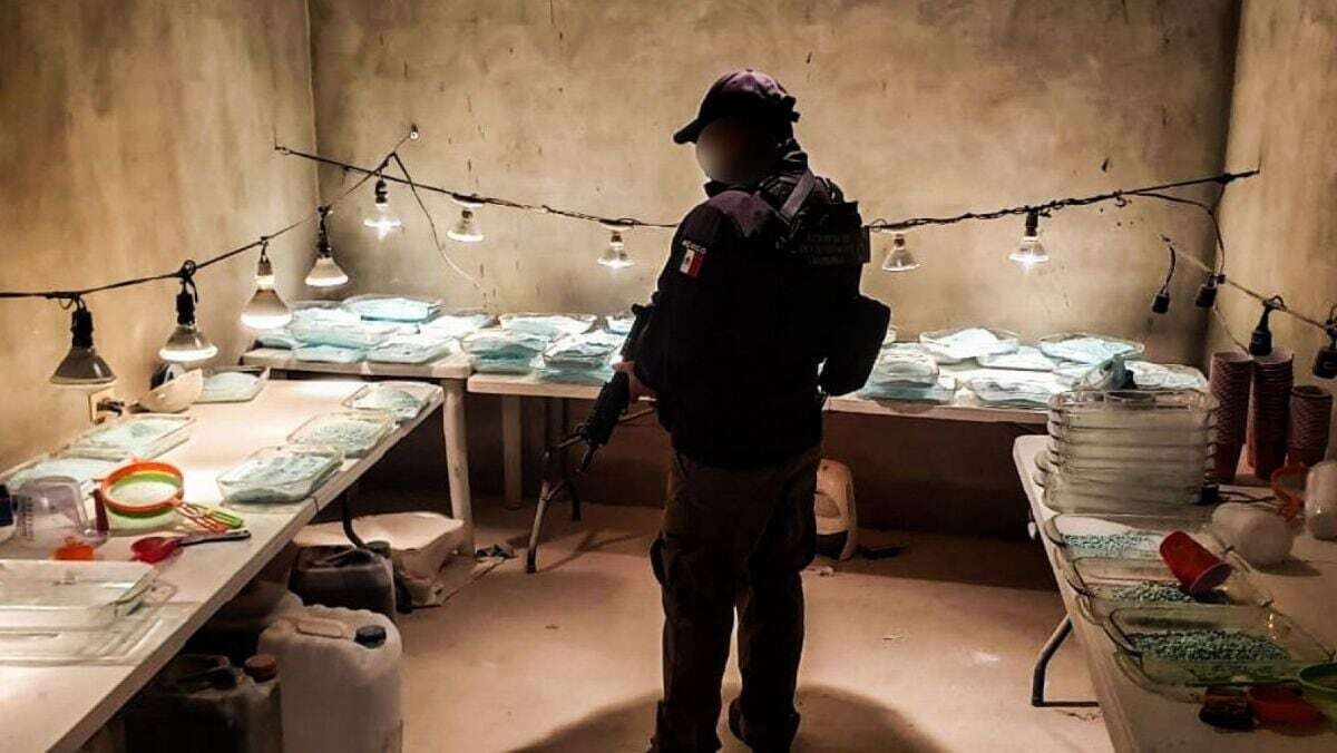 Significant Decline in Fentanyl Seizures at US-Mexico Border