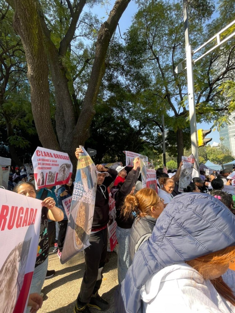 Mexico City Activists Demand Justice for Shelter Animals