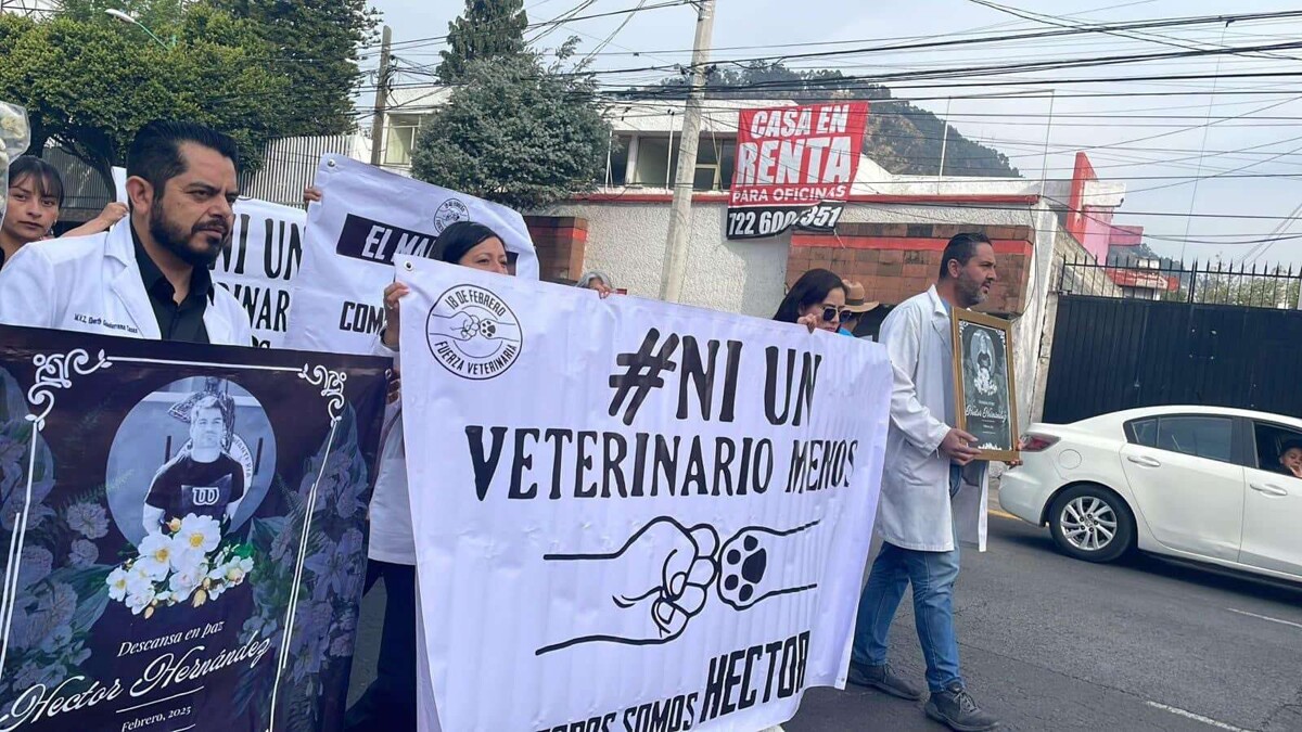 National Strike of Veterinarians in Mexico City