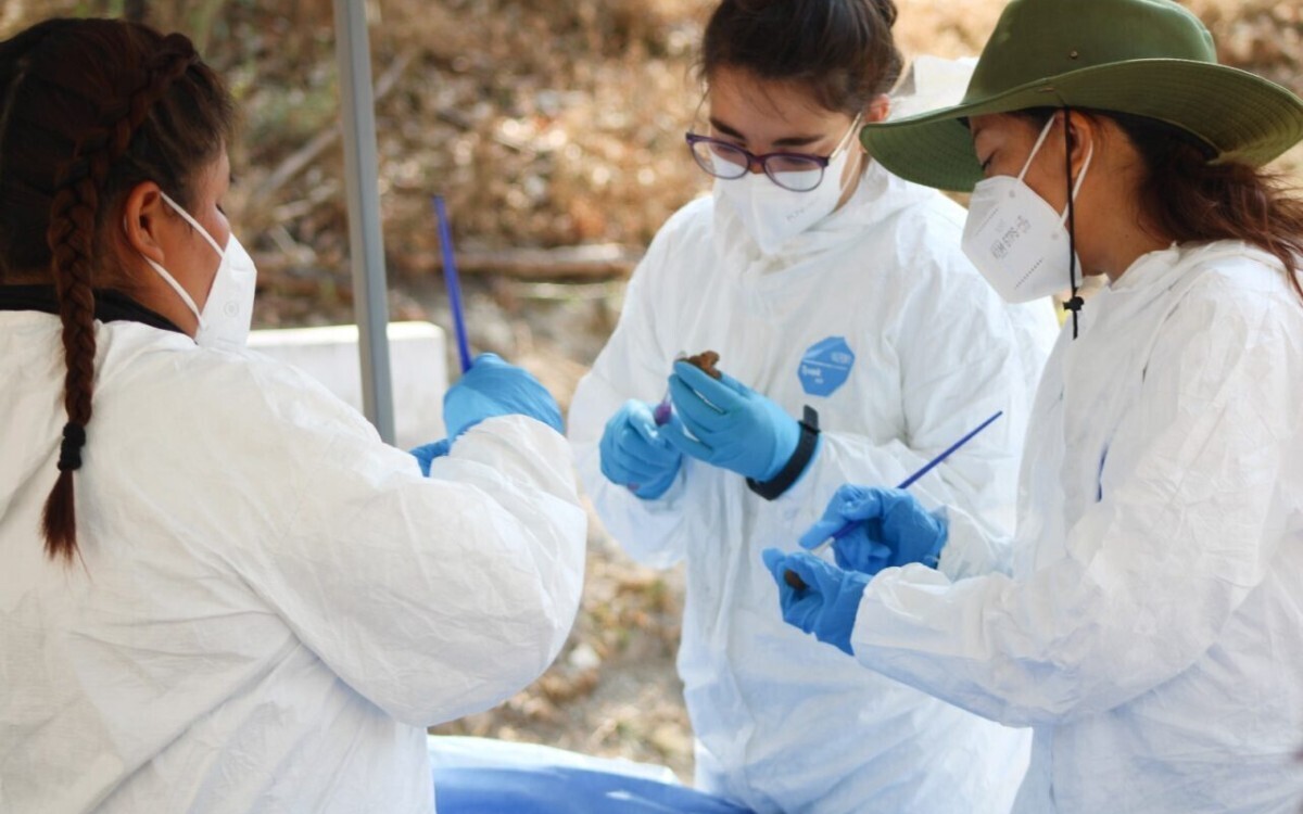 墨西哥城发现50具遗骸