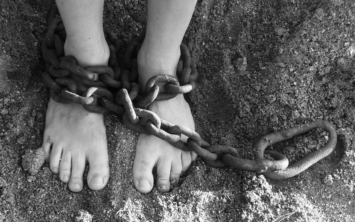 Рас dismantling преступной группы в Мексике