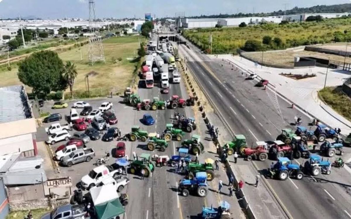 Guanajuato Sorghum Producers Secure Guaranteed Price