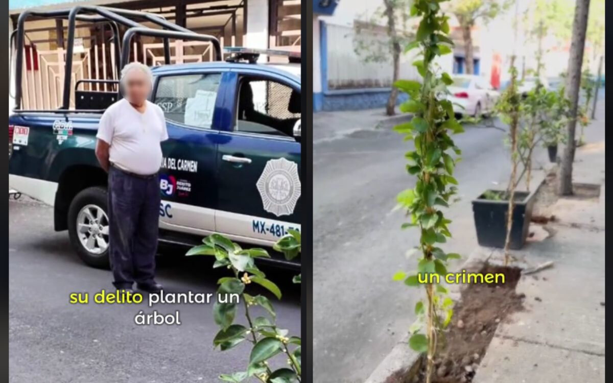 Elderly Man Arrested for Planting a Tree