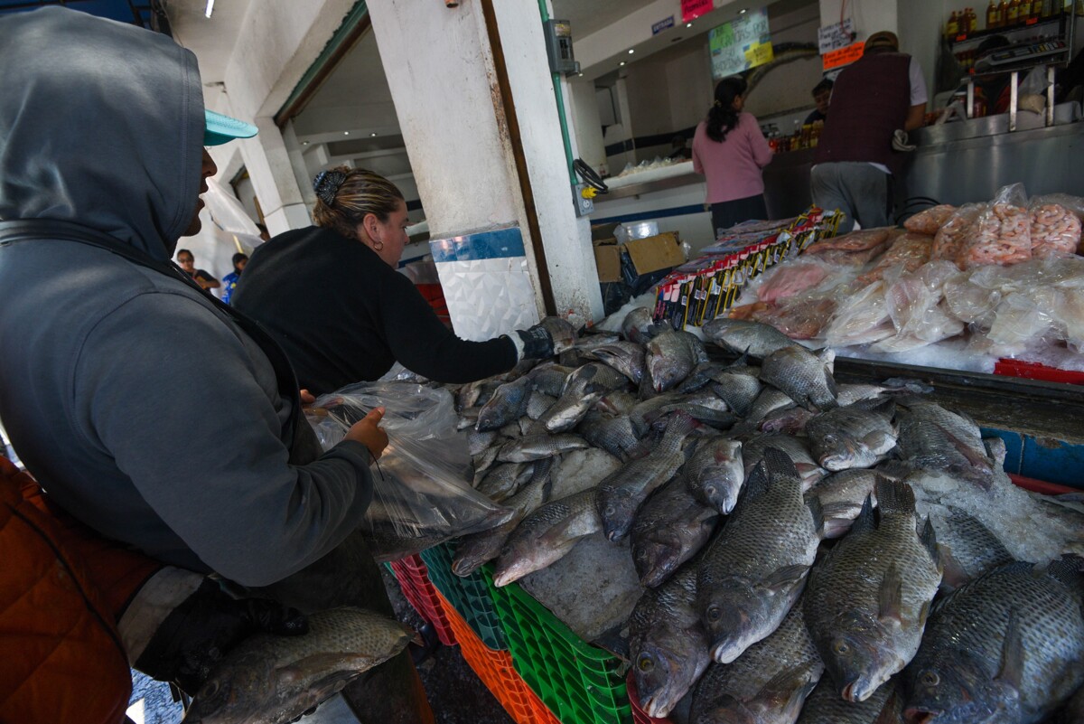 Mexico: Fish Species Substitution During Holy Week