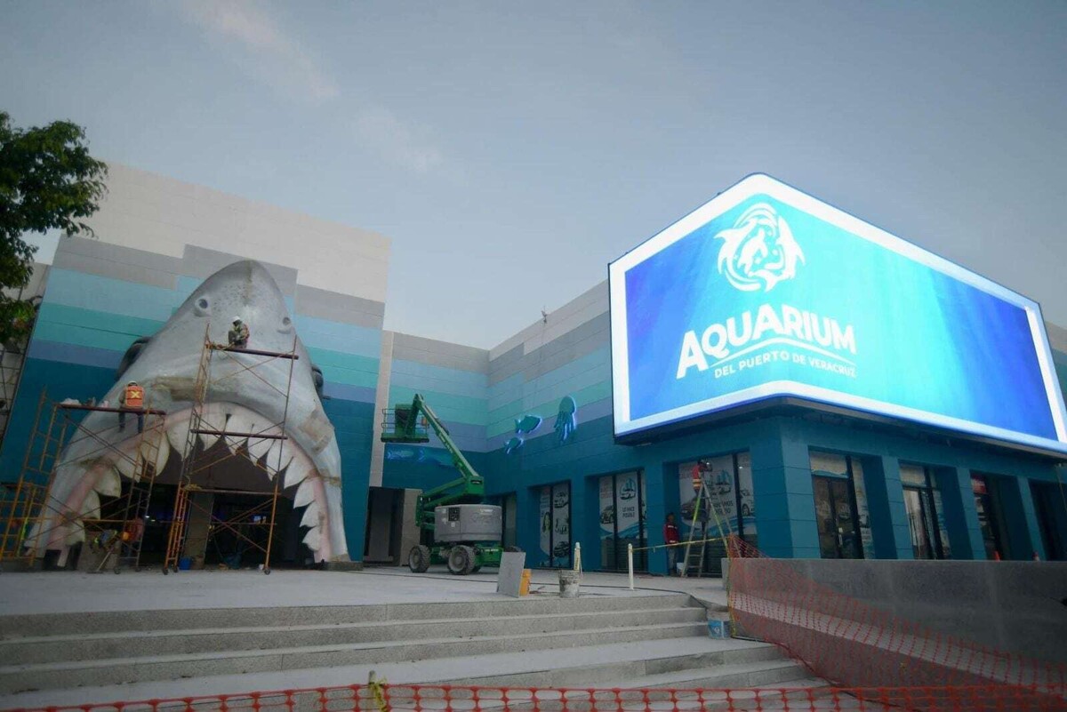 Impressive New Screen at Veracruz Aquarium