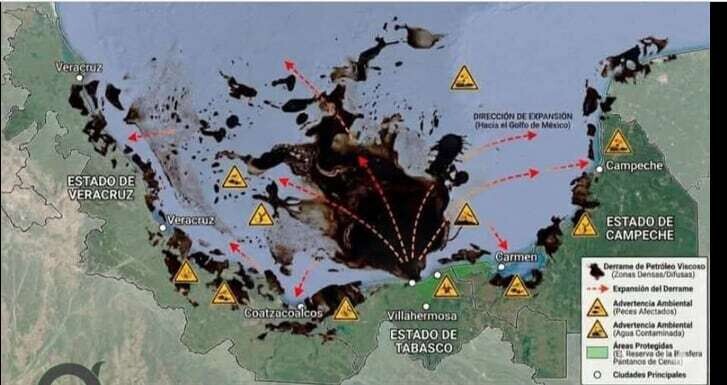 墨西哥湾石油泄漏威胁海洋鸟类和沿海社区