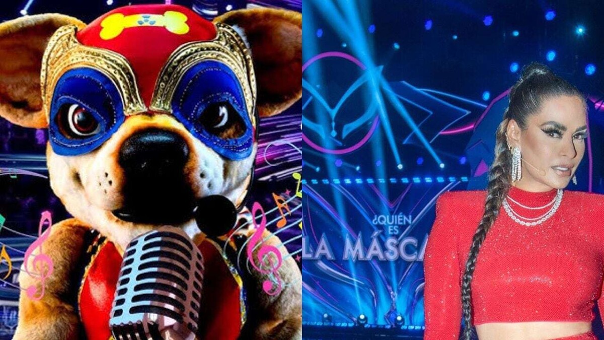 Revelations in 'Who is the Mask'