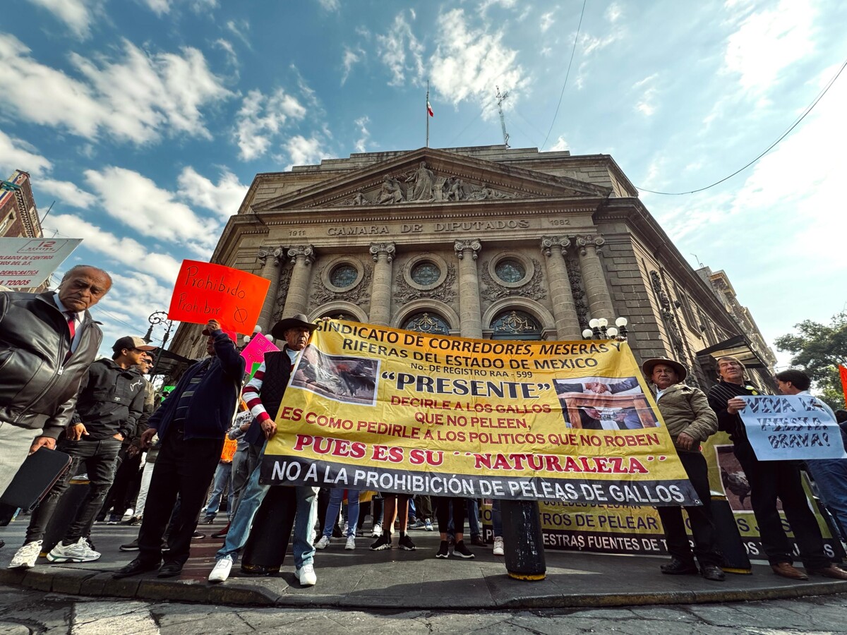 Judicial Branch Halts Bullfighting Ban in Mexico City