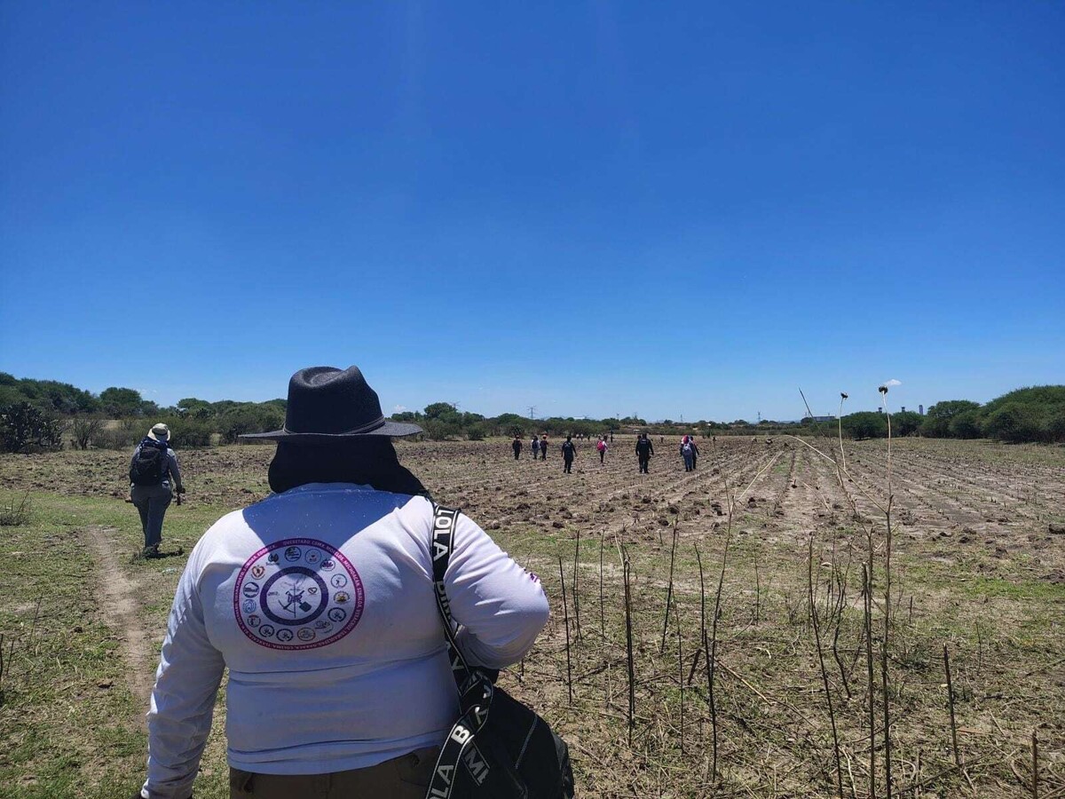 克雷塔罗失踪人数增加：参议员呼吁透明和团结