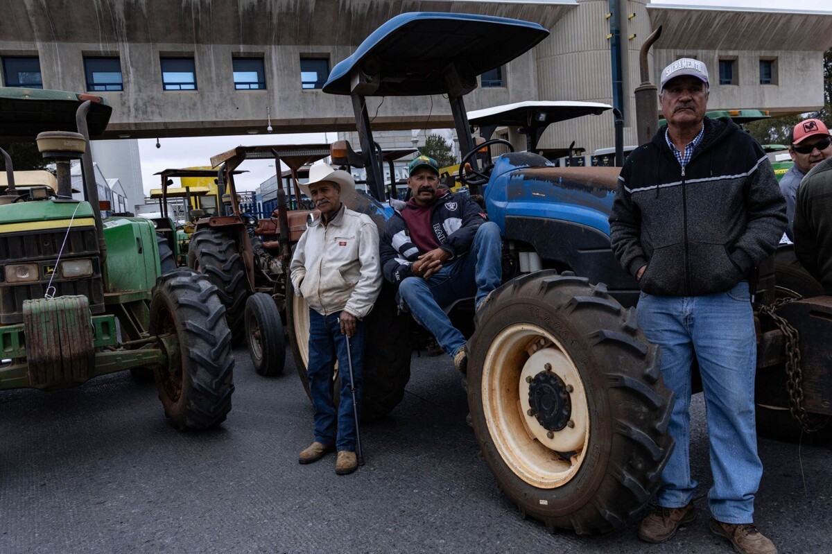 Escalation of conflict between farmers and Mexican government