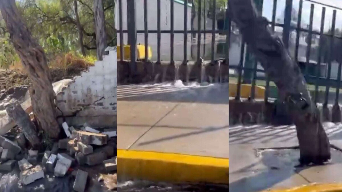 Severe Water Leak in San Pedro Mártir | Ours Abroad News