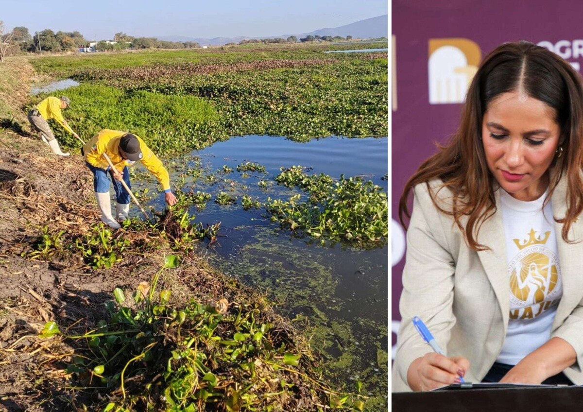 Irrigation Modernization in Guanajuato for Sustainability