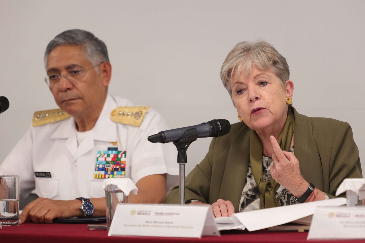 Mexican Beaches Cleaned After Oil Spill