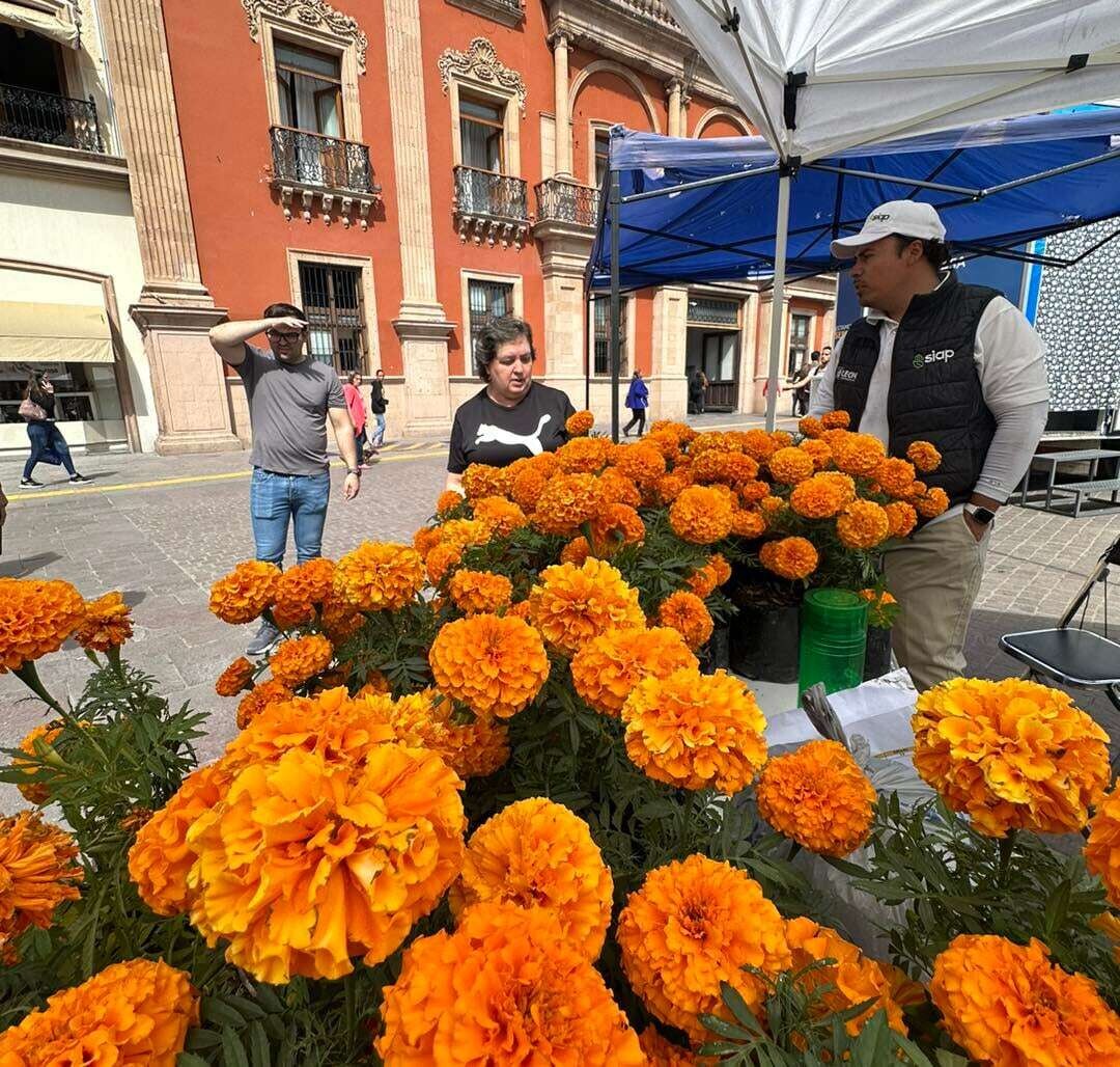 Recycling and Plant Exchange Campaign in León