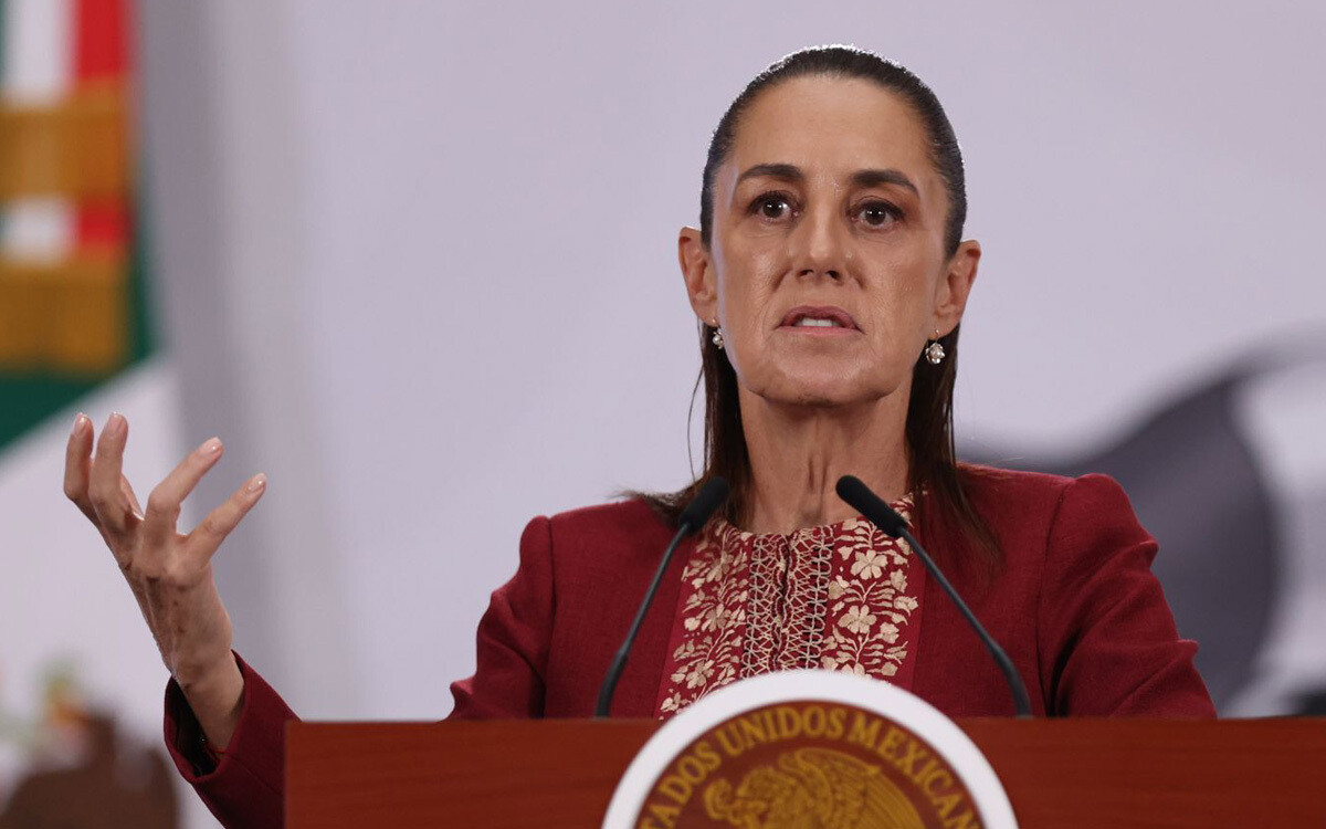 Mexican Activists Criticize President's Response to UN Decision