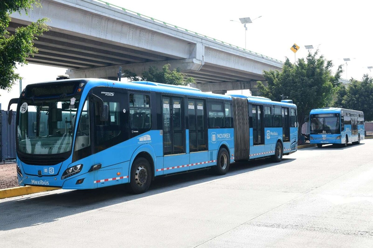 墨西哥州公共交通免费旅行超过5500万次