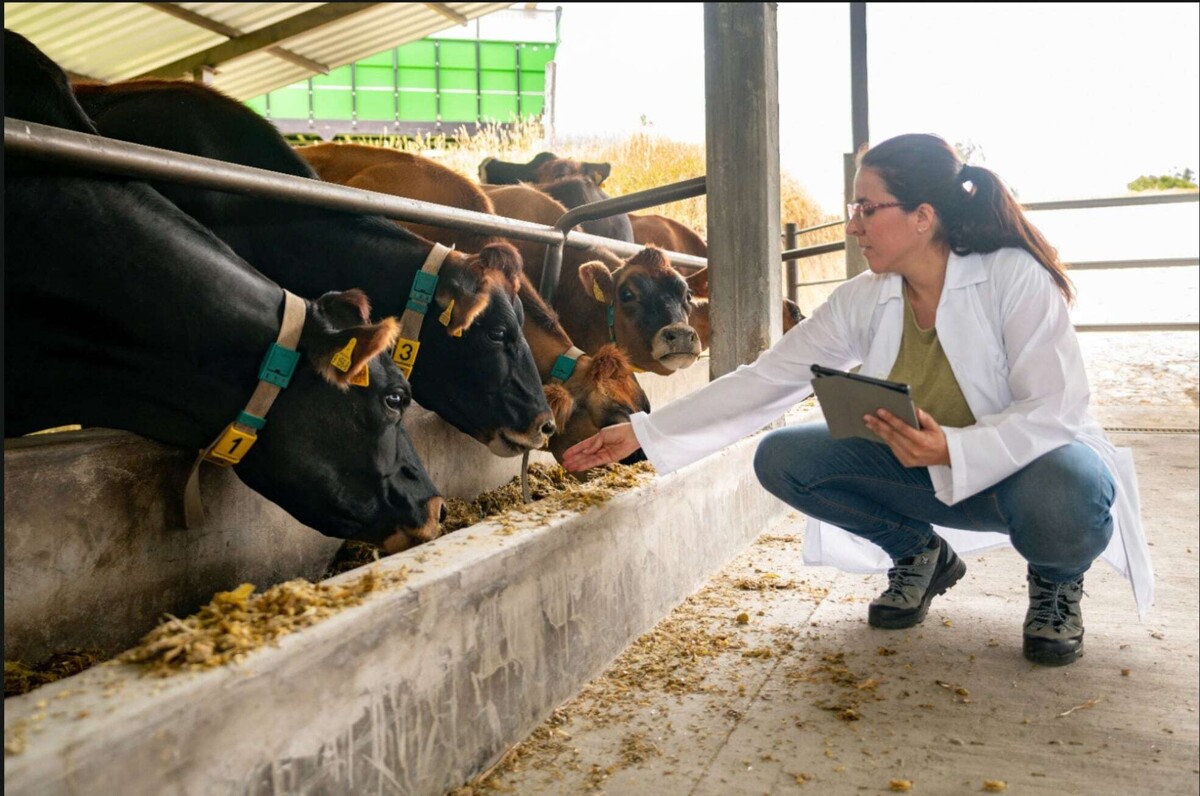墨西哥畜牧业中的女性：增长与结构性障碍