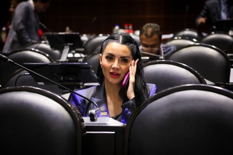 Gaby Jiménez's Rising Political Role in Mexico