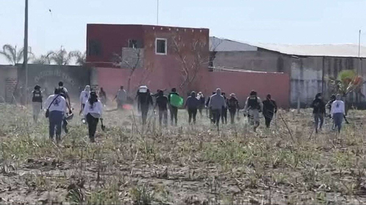 Откровения тренировочного центра, использовавшегося CJNG