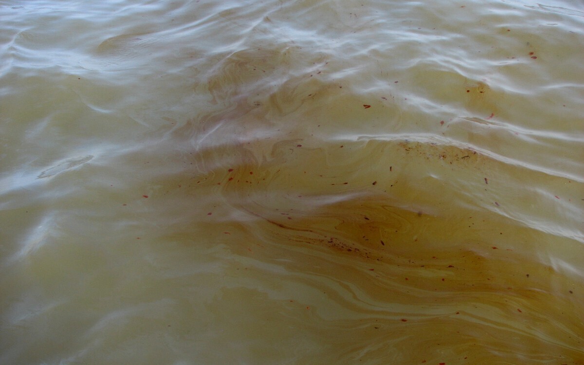 墨西哥湾石油泄漏成为政府透明度危机