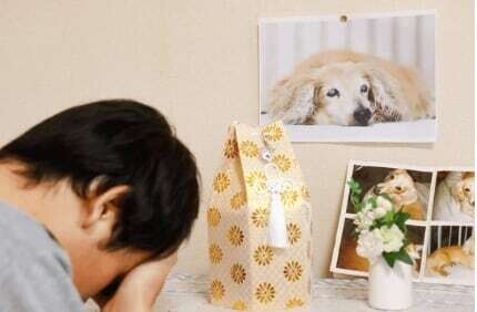 Growth of Pet Funeral Services in Mexico