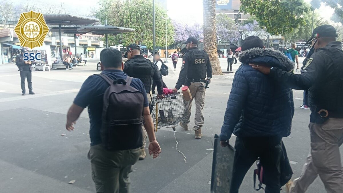 Man arrested in Mexico City for selling cats and dogs under the guise of adoption