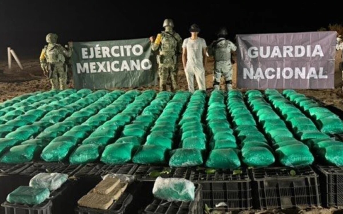 More than a ton of drugs seized in Sonora