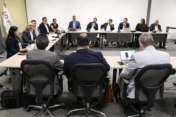 Reform of the Private Security Law in León
