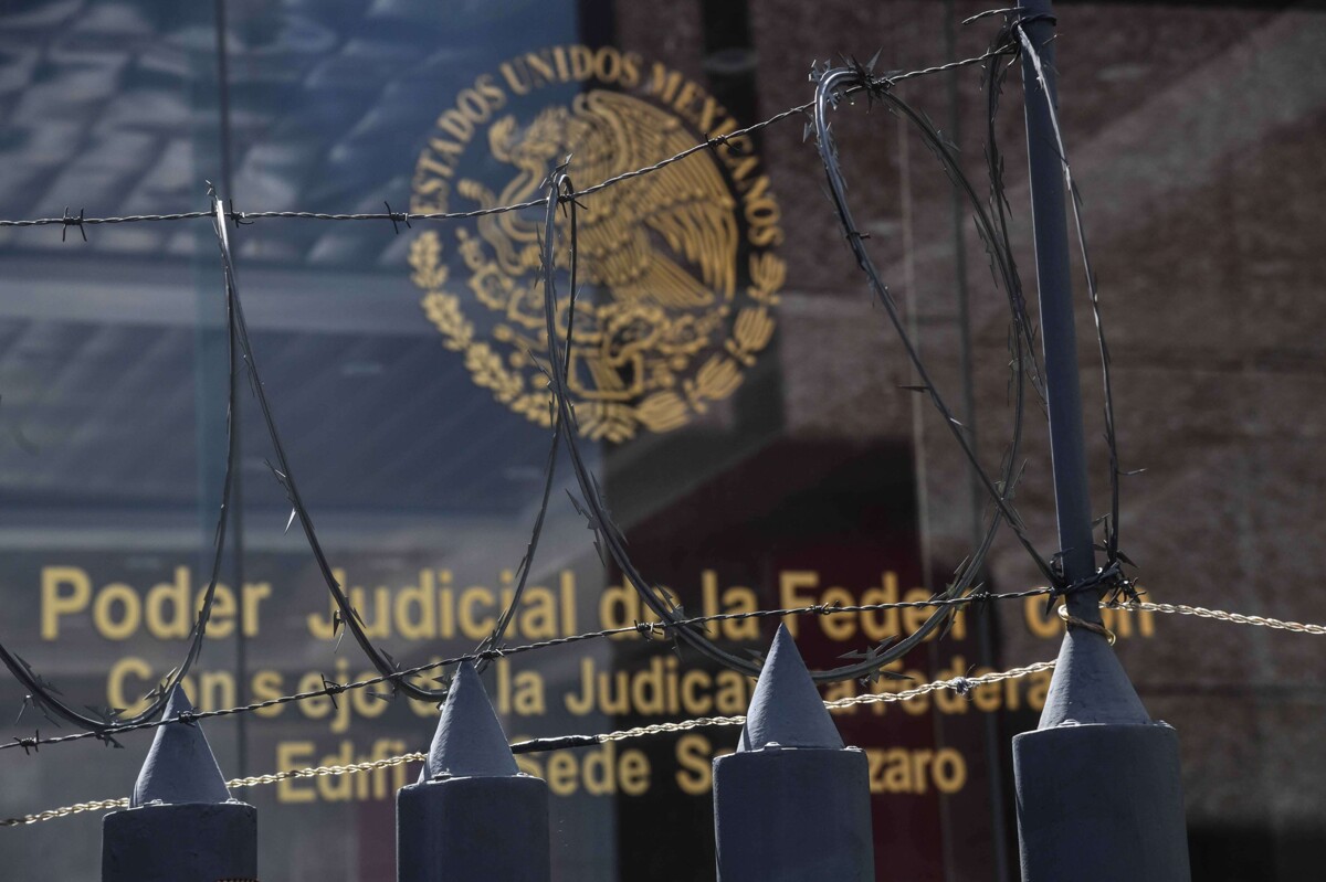 Nepotism in the Mexican Judiciary Revealed