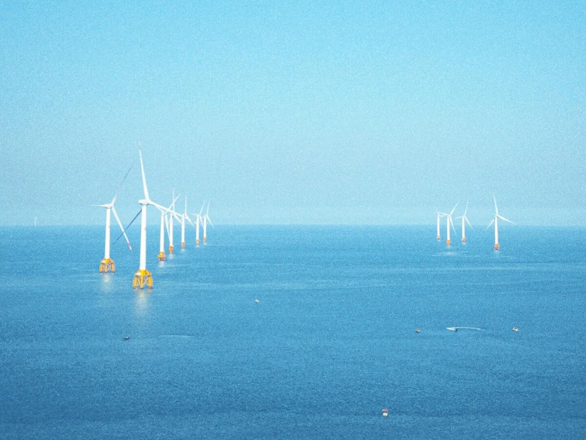 The Energy Transition: From Potential to Leadership