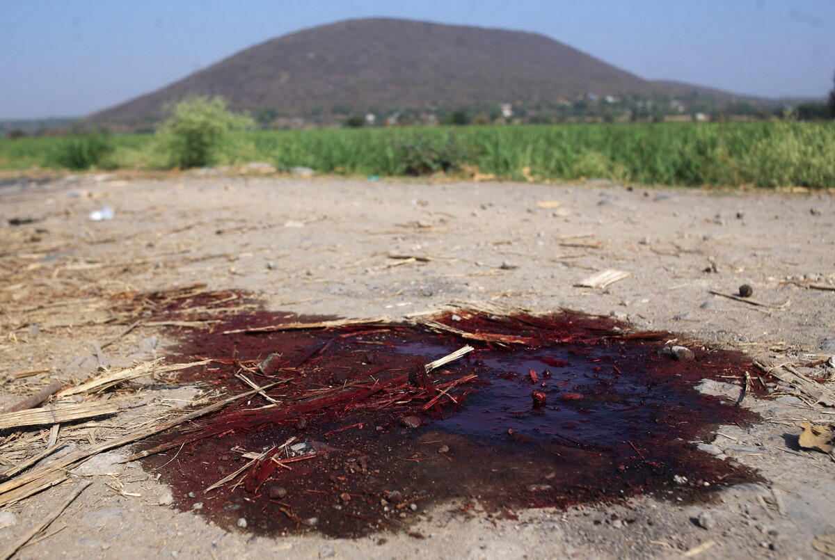 格雷罗州发现七具被肢解尸体