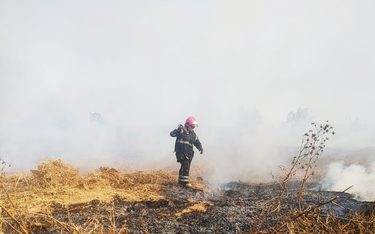 Fire in Nezahualcóyotl Worsens Environmental Crisis in Valley of Mexico