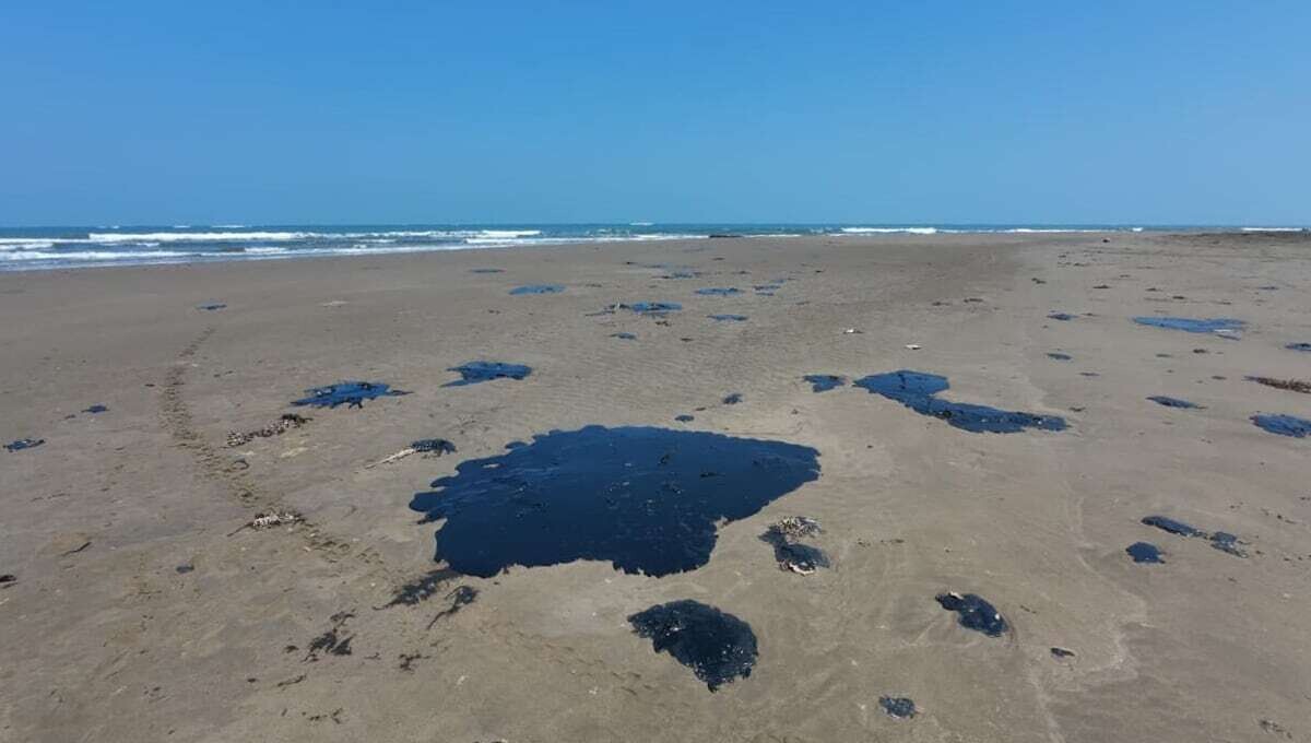 Veracruz Residents Report Beaches Contaminated with Oil