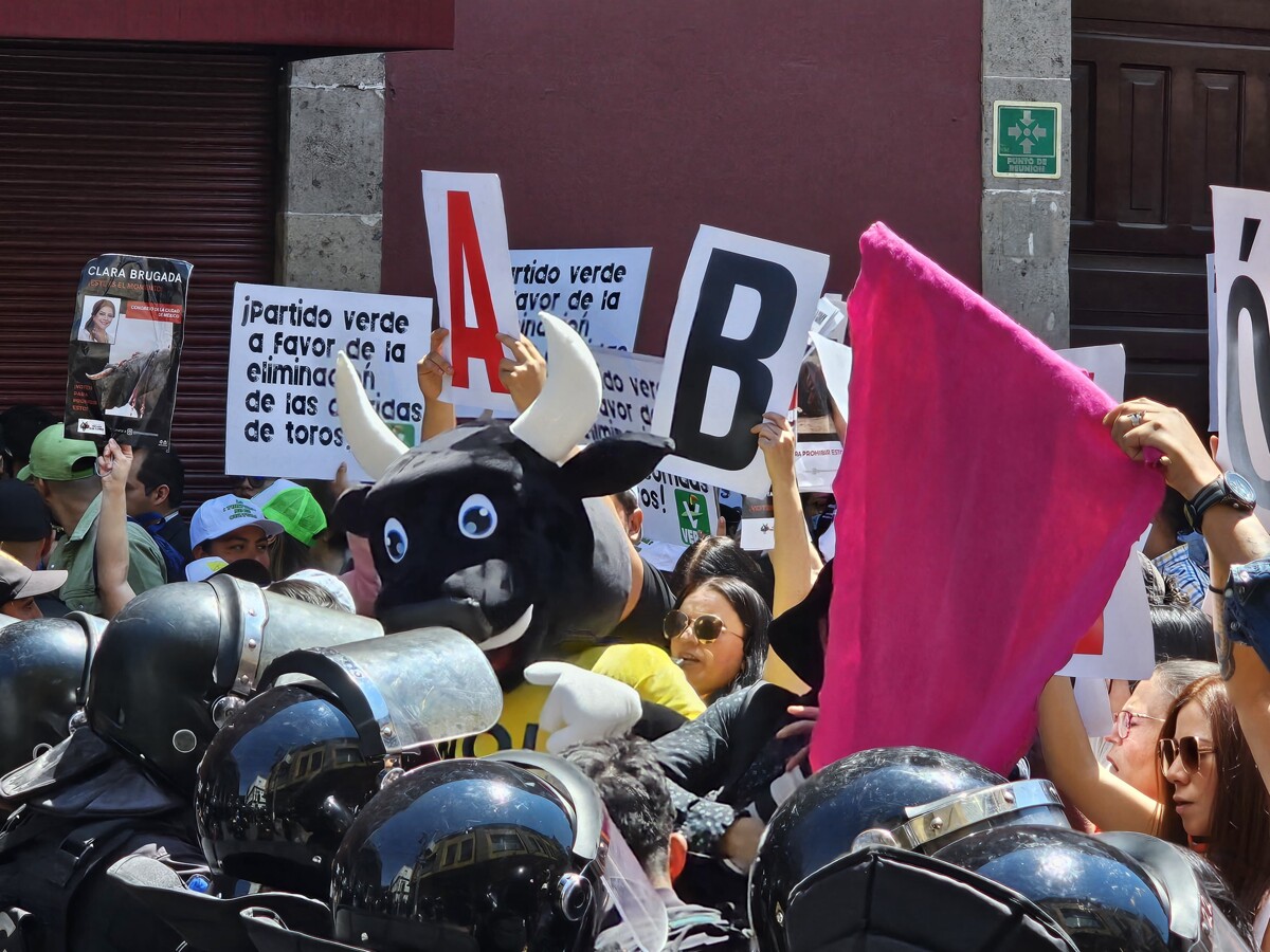 Ban on Bullfighting in CDMX to be Voted On