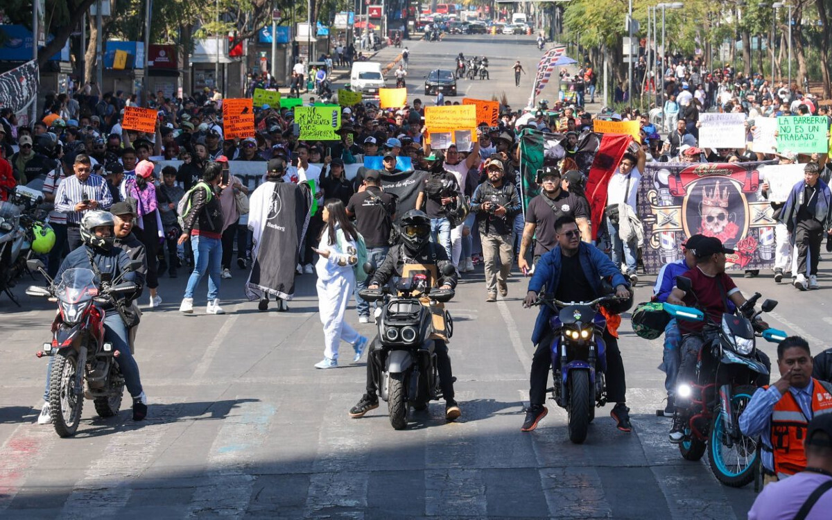 Massive March in Mexico City Against Health System Crisis