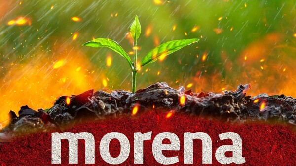 Политическая трансформация в Morena под новым руководством