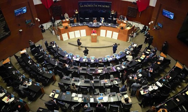 Сенат одобряет конституционную реформу для гендерного равенства