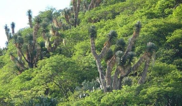 Querétaro Plans New Protected Natural Areas