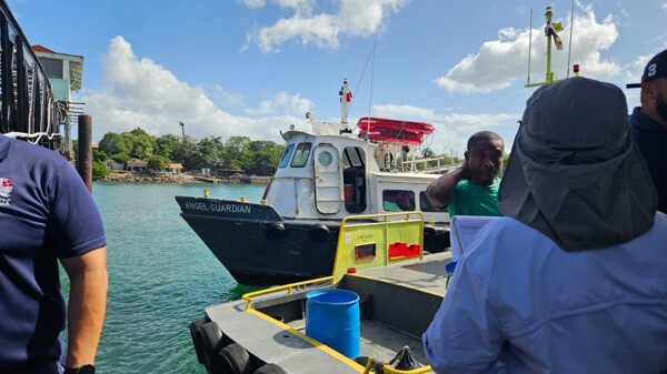 AMP will launch the 'Guardians 2025' operation for the carnival