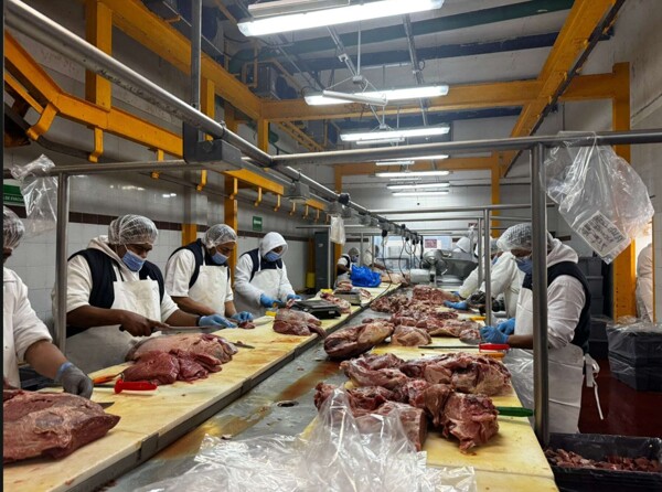 Clean label concept becomes a strategic pillar for Mexico's food industry