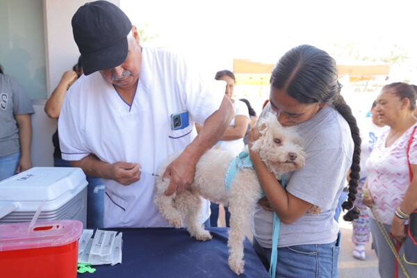 Inicio de la campaña de vacunación y lucha contra enfermedades transmisibles en México