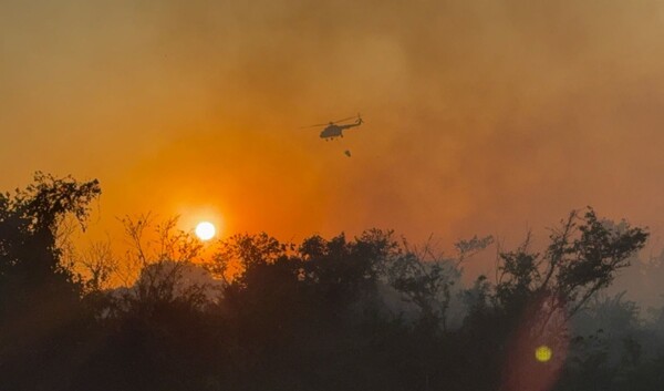 Fire Controlled Near Acapulco Airport