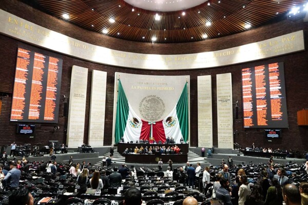 Activist Disrupts Mexican Congress Session