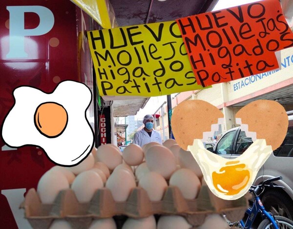 Profeco Recommendations on Egg Storage