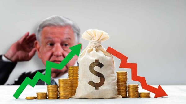 Видение Шейнбаум: Переход к экономическим реформам